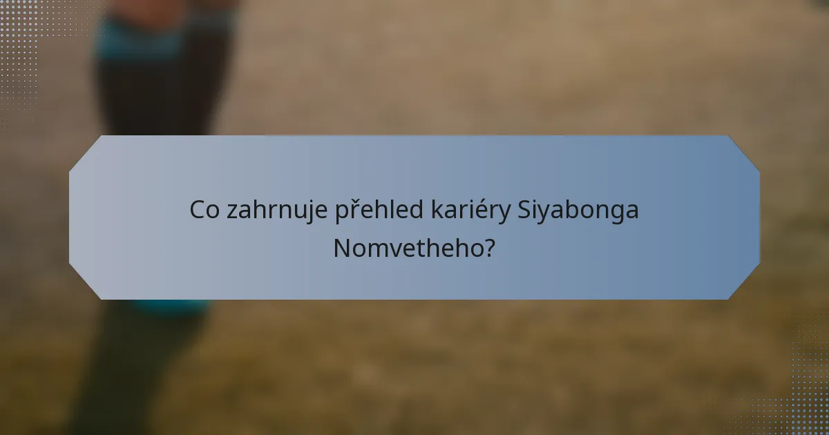 Co zahrnuje přehled kariéry Siyabonga Nomvetheho?