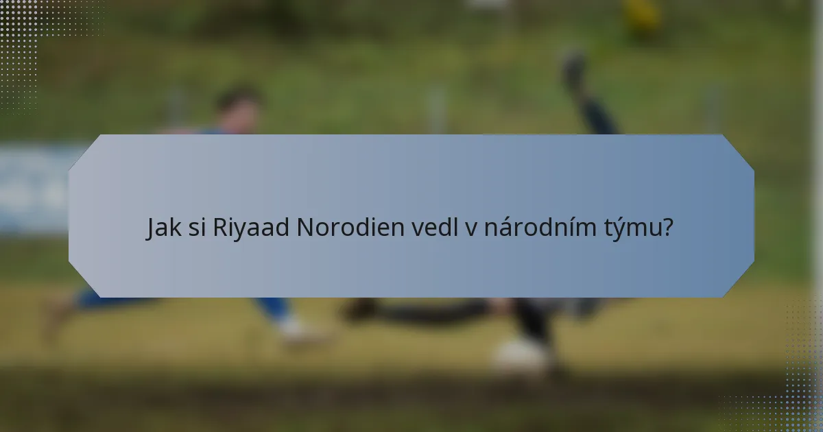 Jak si Riyaad Norodien vedl v národním týmu?