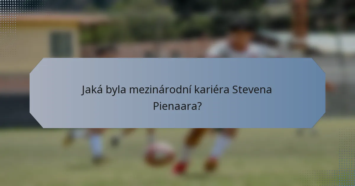 Jaká byla mezinárodní kariéra Stevena Pienaara?