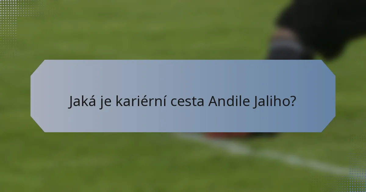 Jaká je kariérní cesta Andile Jaliho?