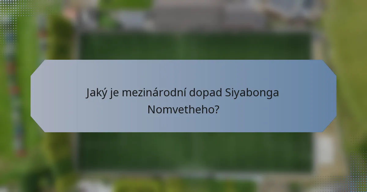 Jaký je mezinárodní dopad Siyabonga Nomvetheho?