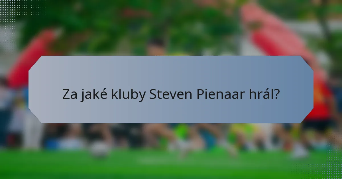 Za jaké kluby Steven Pienaar hrál?